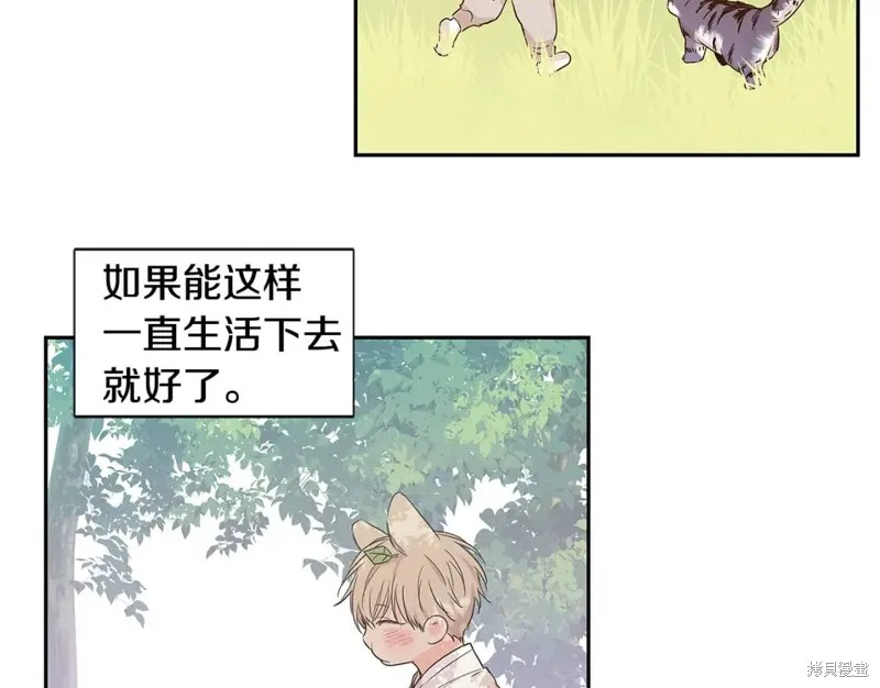 番外8 第61页