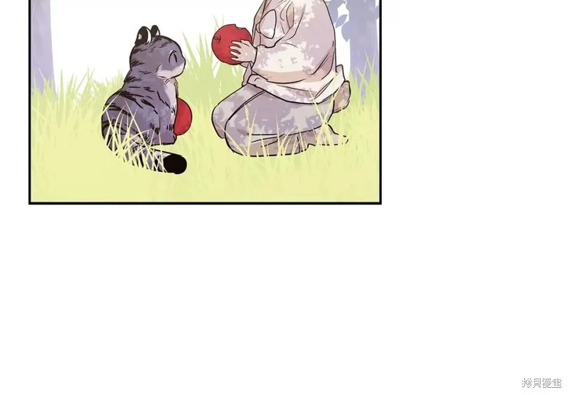 番外8 第62页
