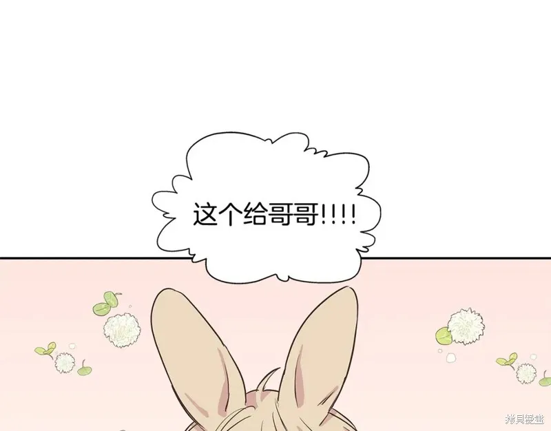 番外7 第62页
