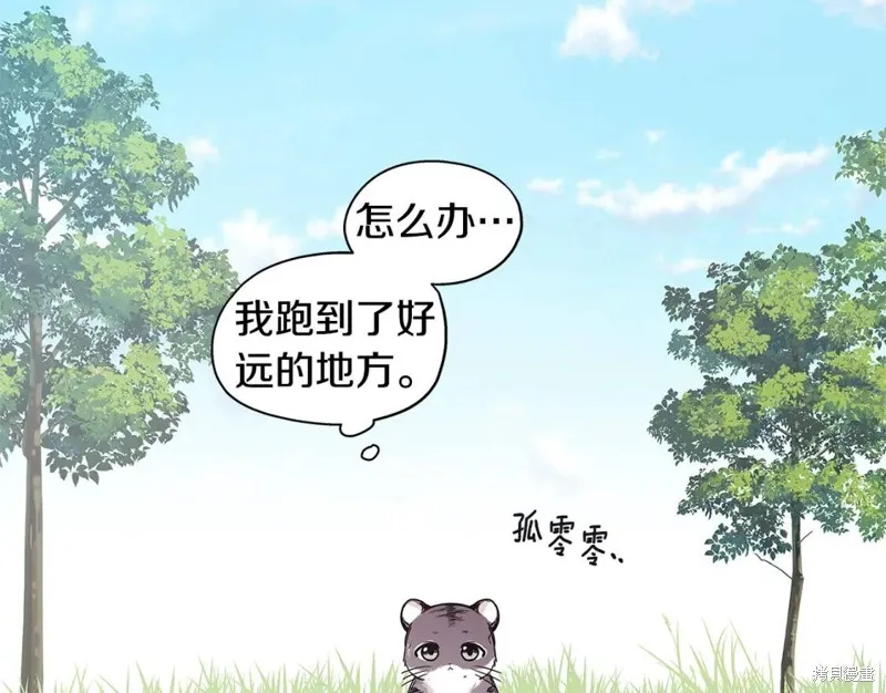 番外7 第73页