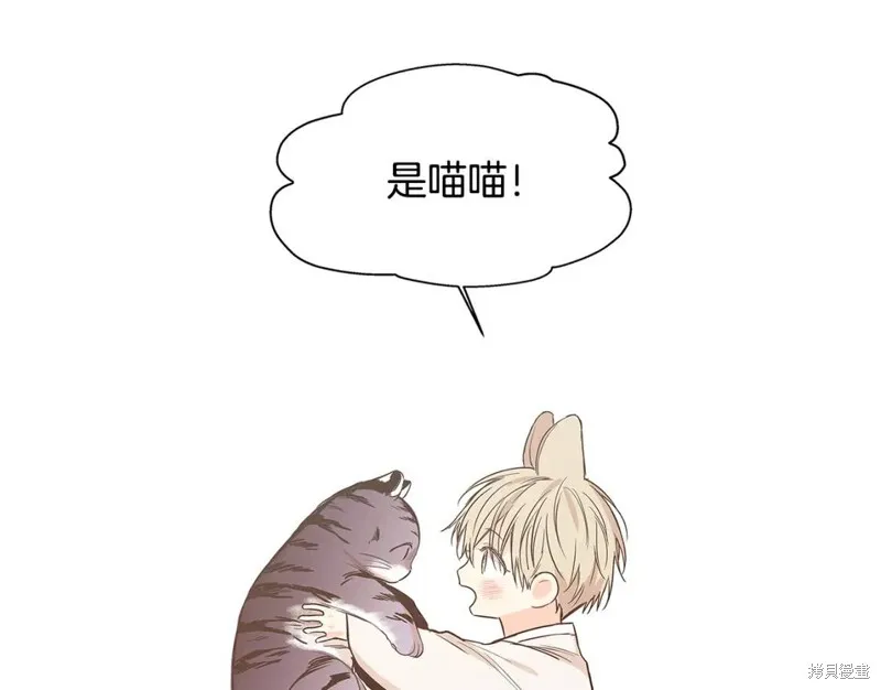 番外7 第78页