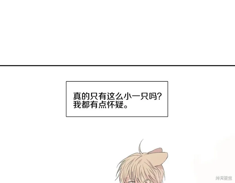 番外5 第1页