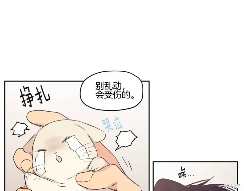番外5 第28页