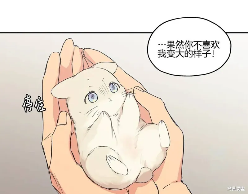 番外5 第31页