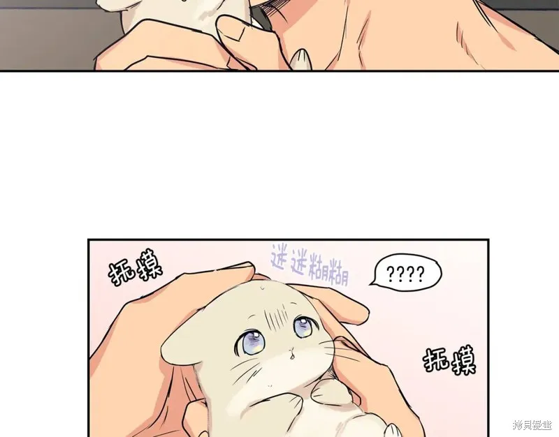 番外5 第36页