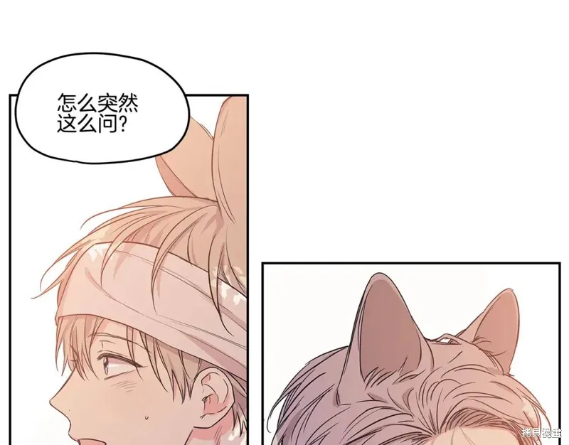 番外4 第1页