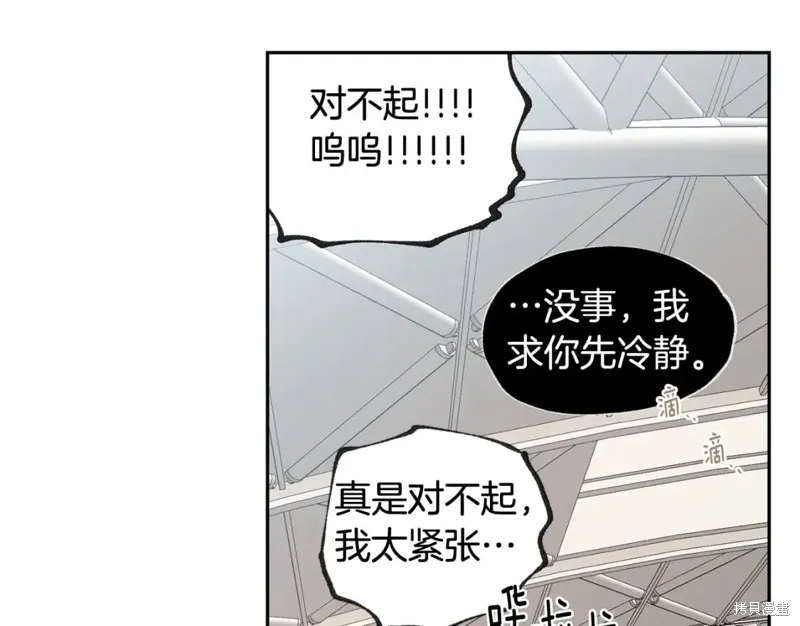第33话 第41页