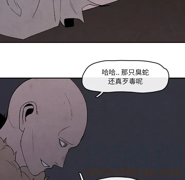 51 第52页