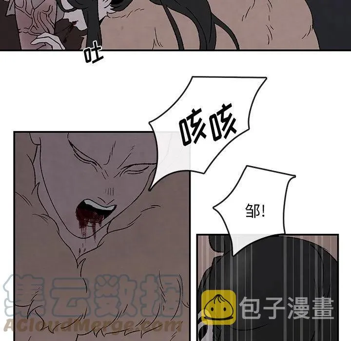 51 第55页