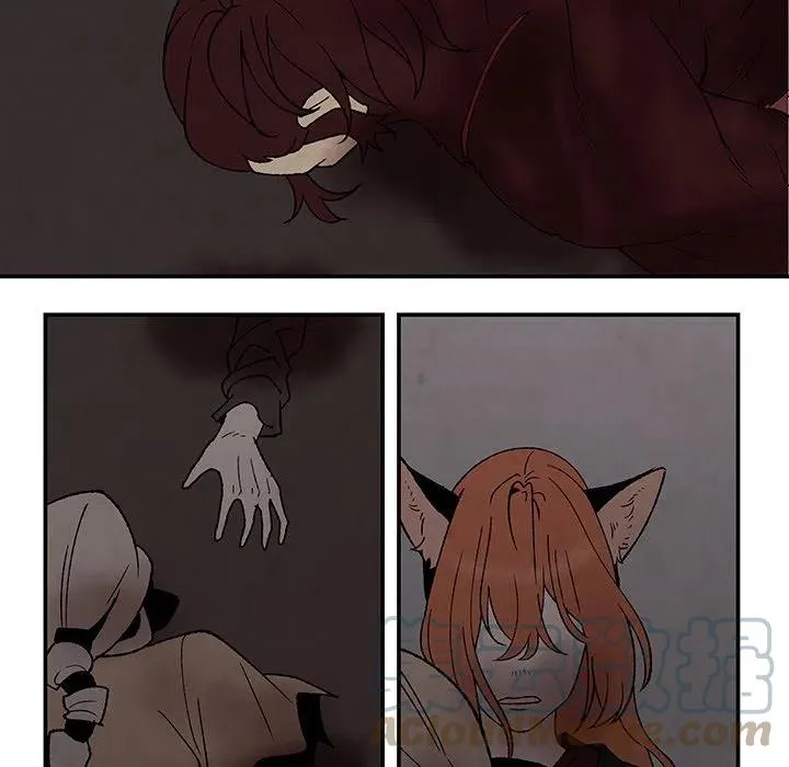50 第43页