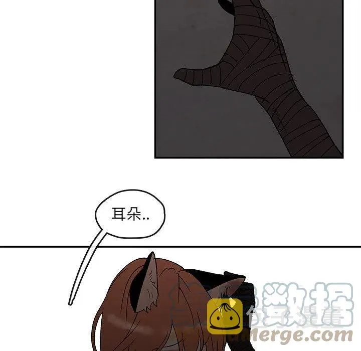 50 第52页