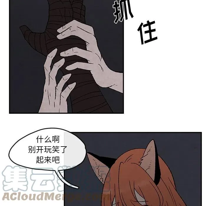 50 第55页