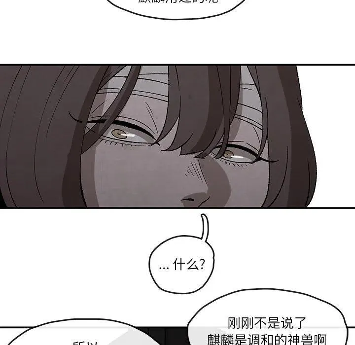 41 第39页