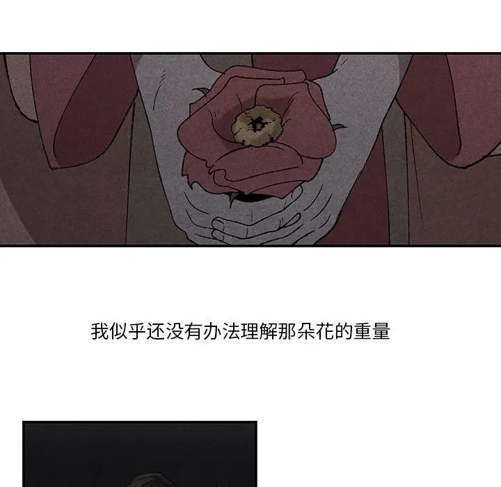 41 第51页