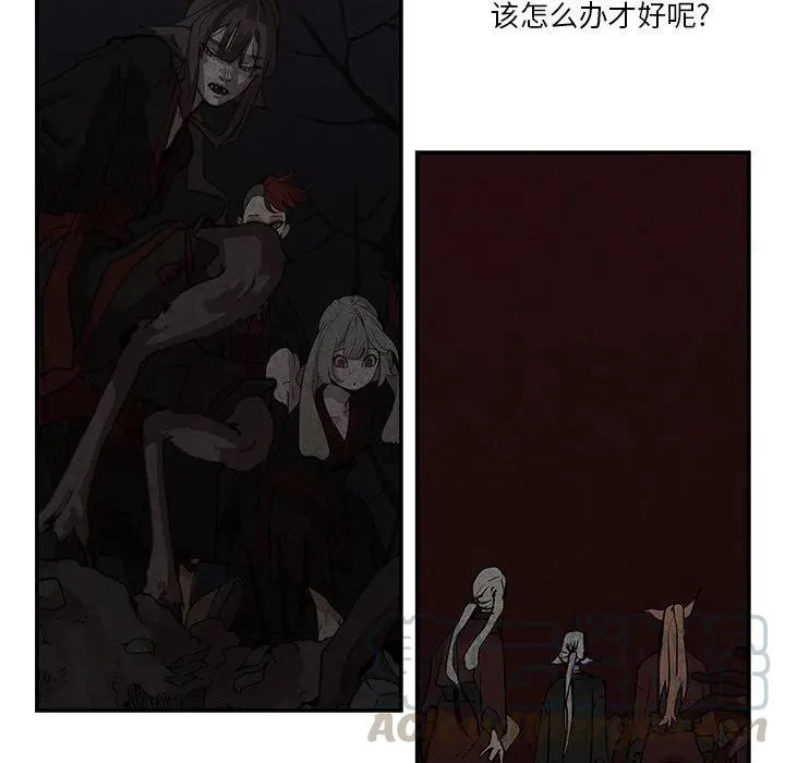 41 第52页
