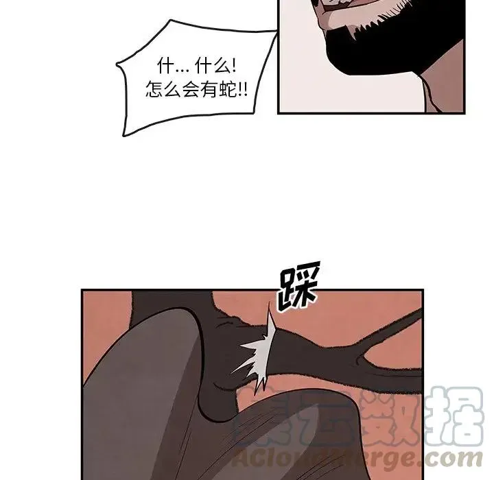 21 第61页