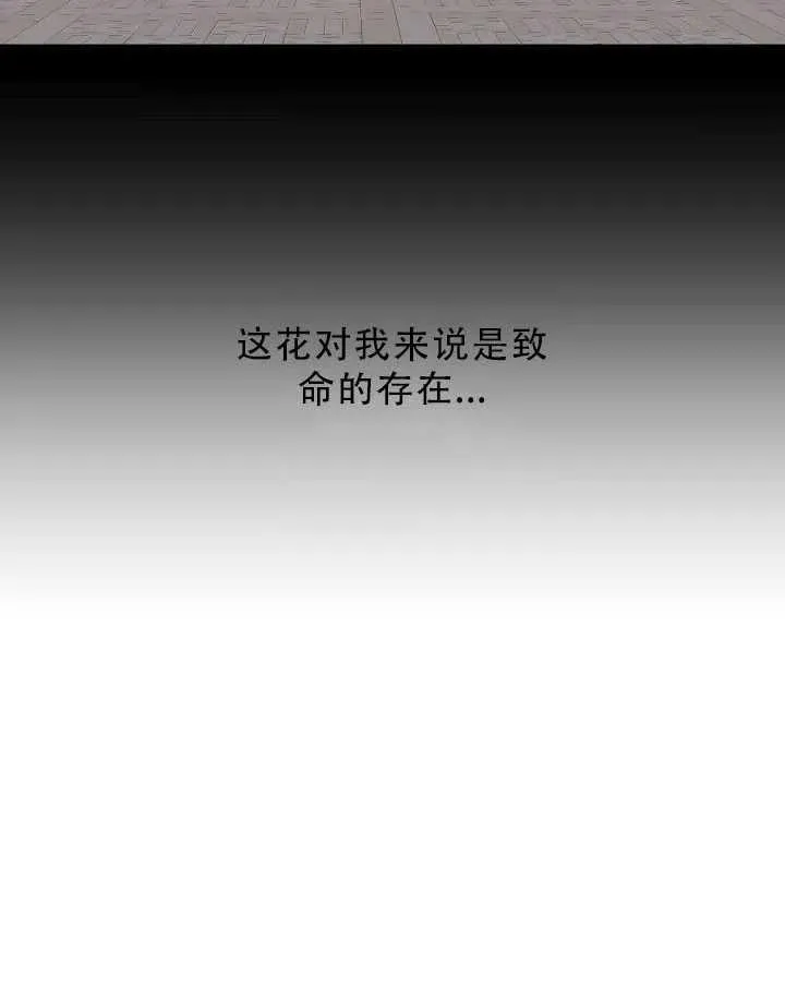 32.黑玫瑰 第28页