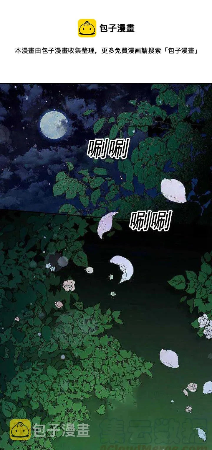 29.情报 第1页