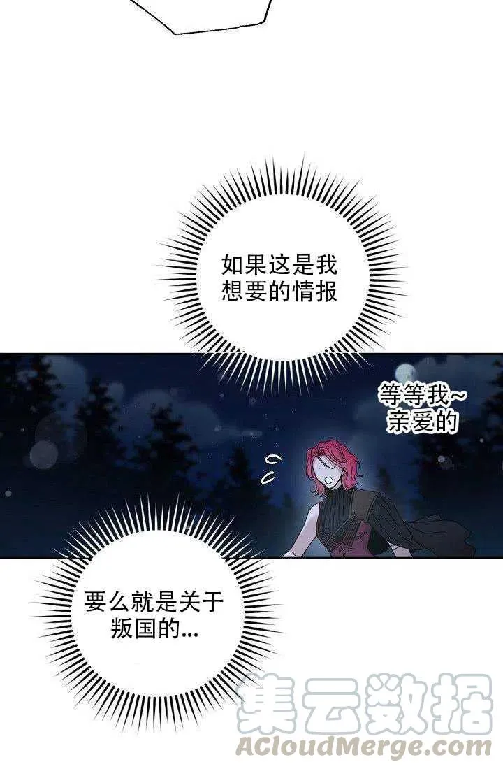 29.情报 第25页