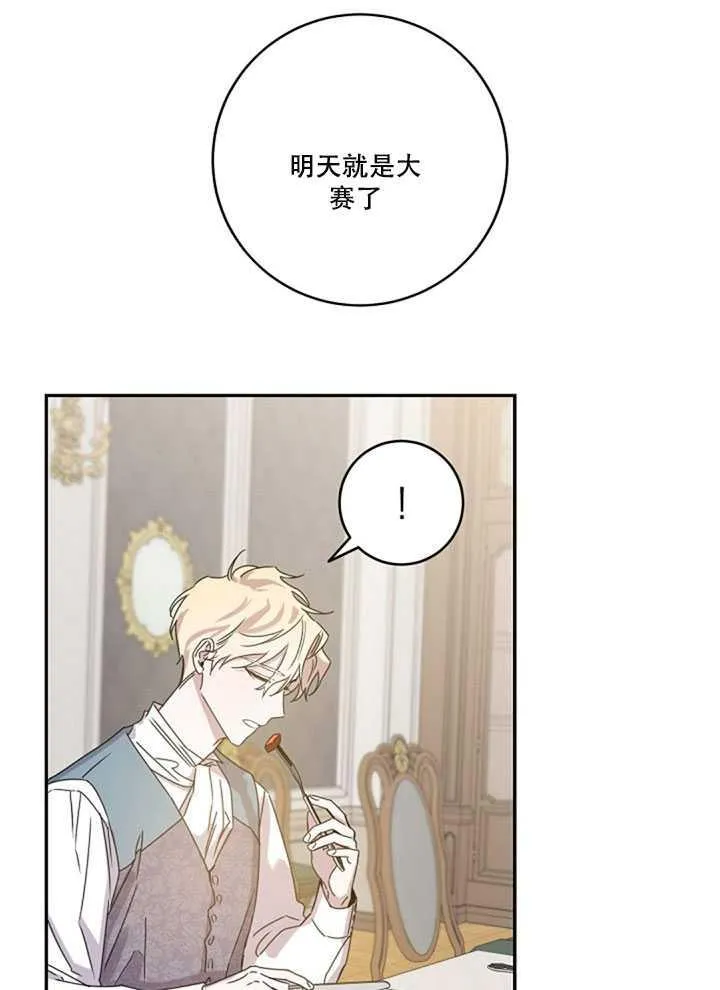 19.杀入决赛 第28页