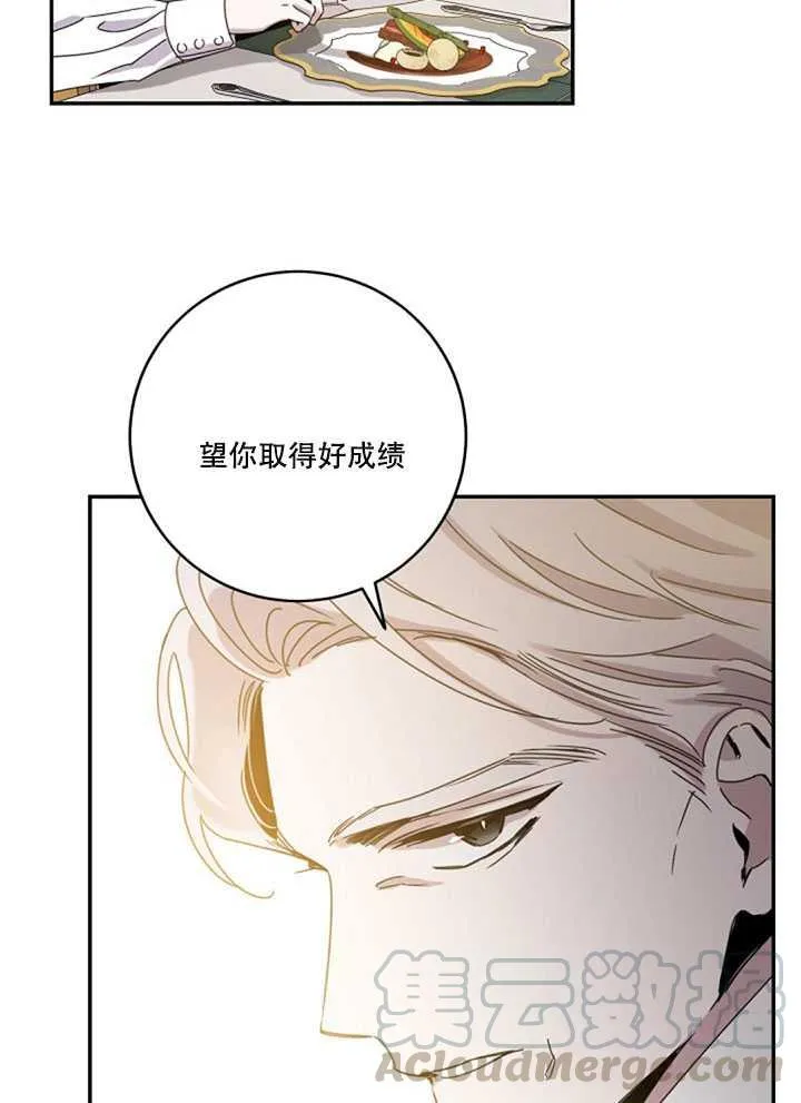 19.杀入决赛 第29页