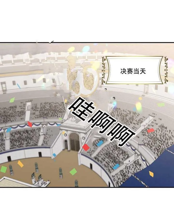 19.杀入决赛 第52页