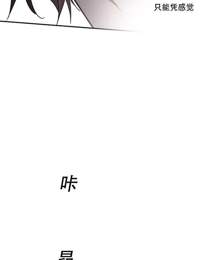19.杀入决赛 第62页