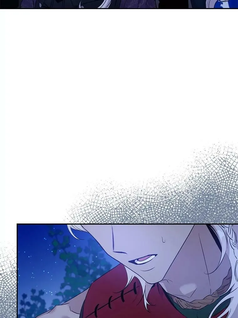 78.拉菲内一族 第119页