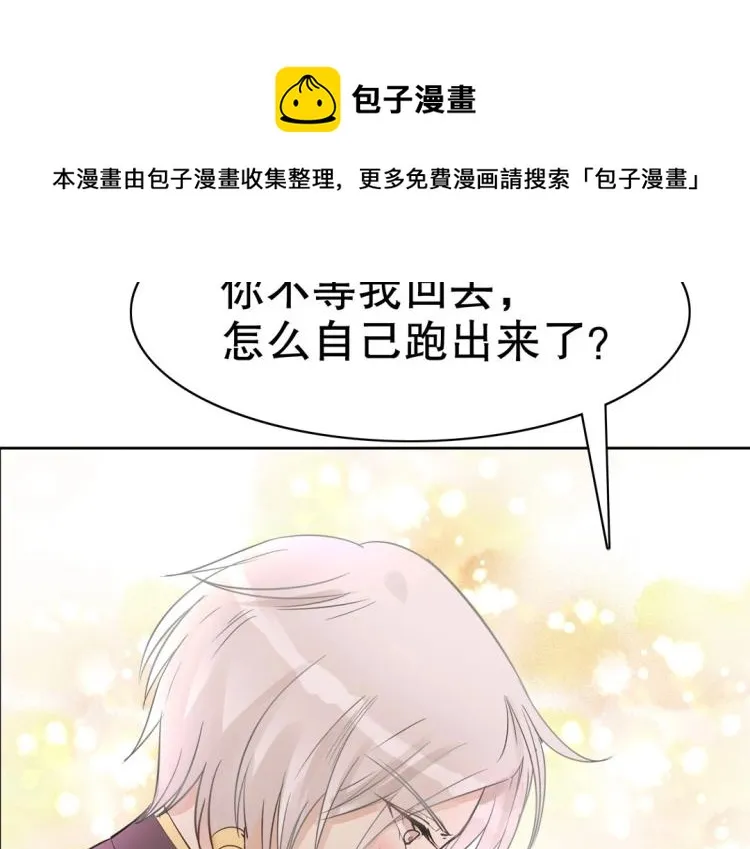 第21章 玄殷来了 第52页