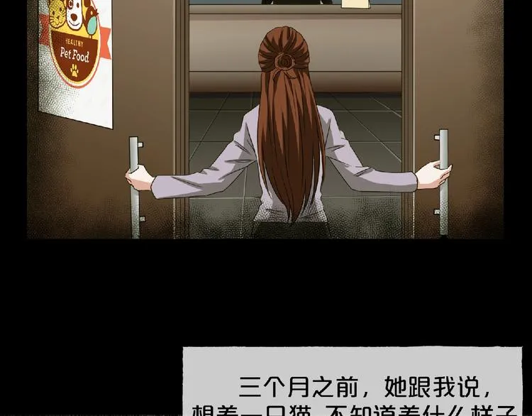 第16话 宠物博主 第27页