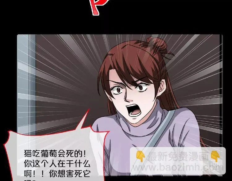 第16话 宠物博主 第45页