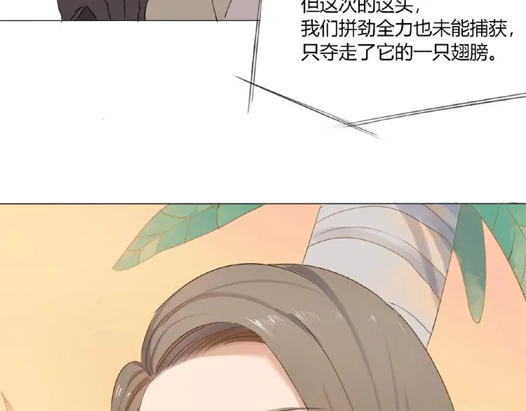 第2话 凶猛羽兽 第47页