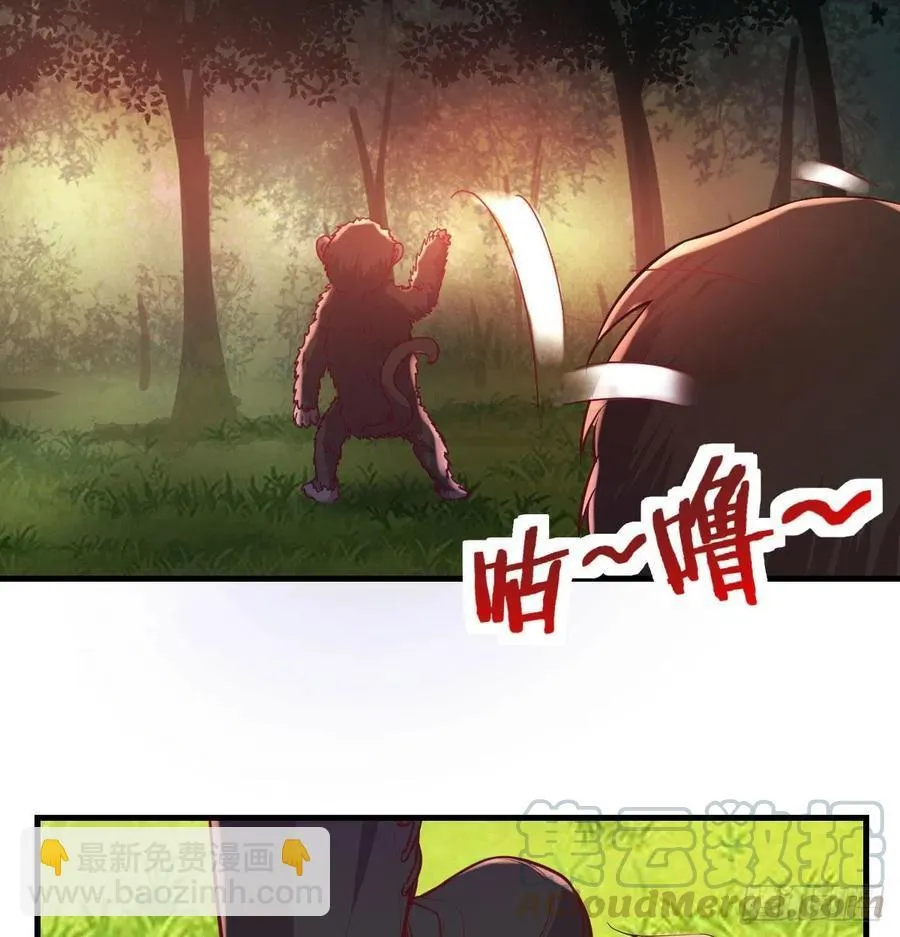 给猴子调酒 第15页