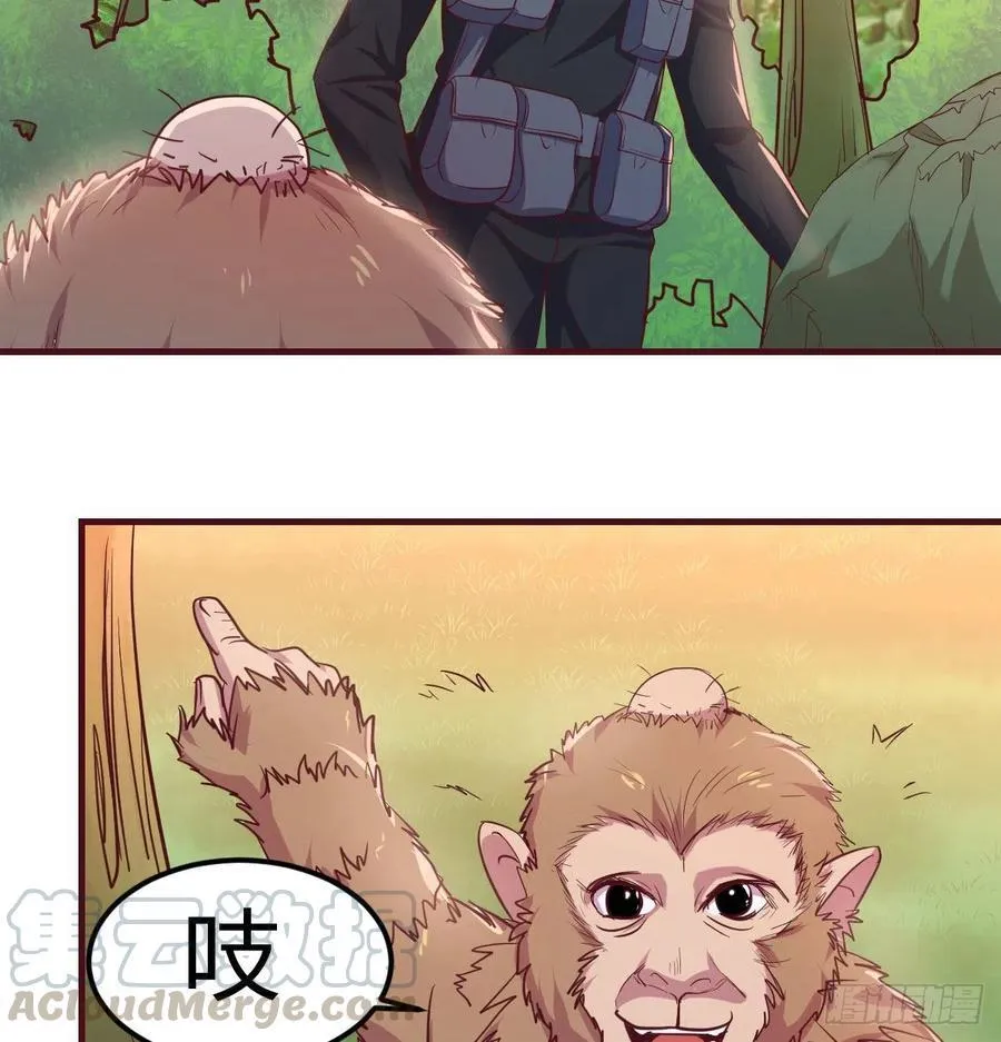 给猴子调酒 第25页