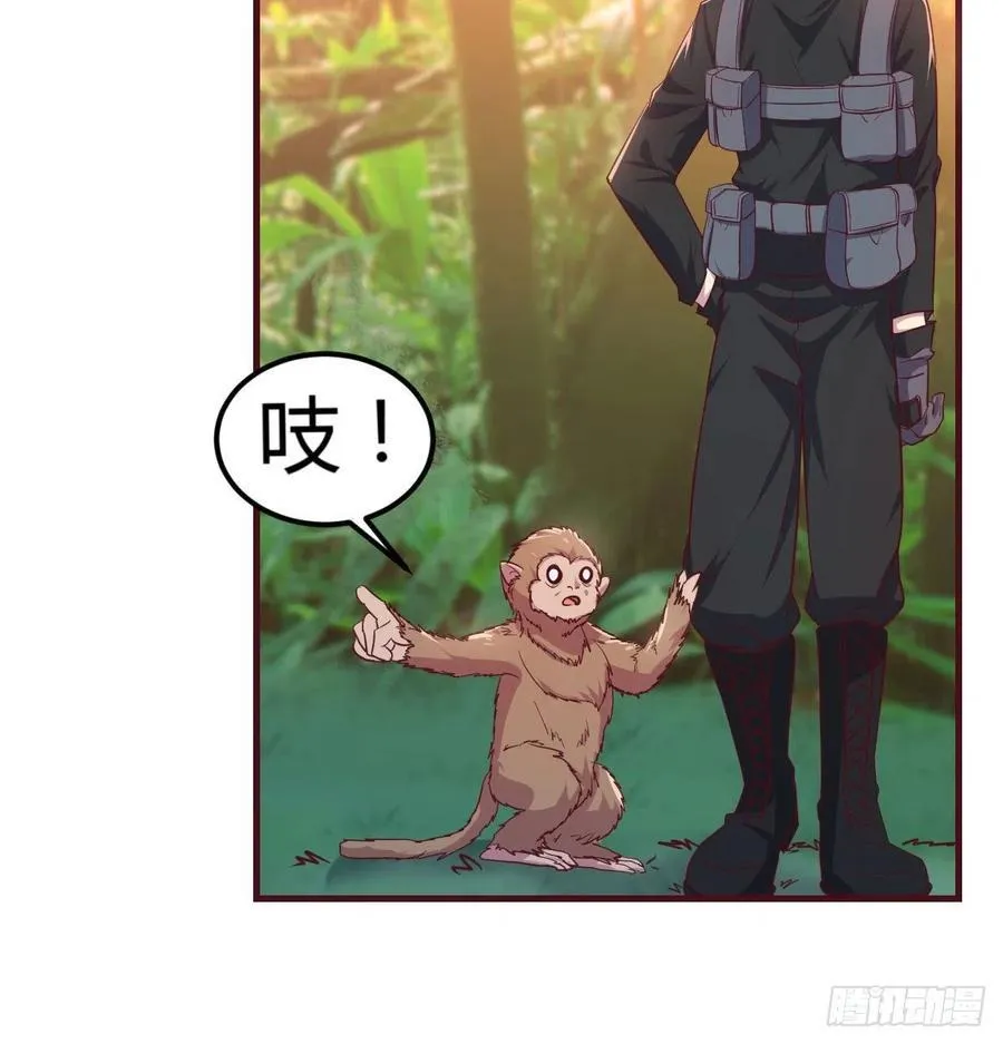 给猴子调酒 第28页