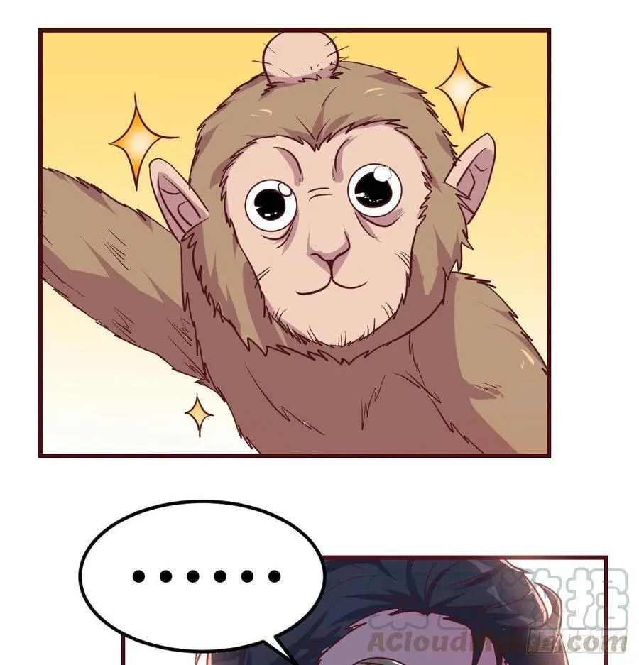 给猴子调酒 第29页