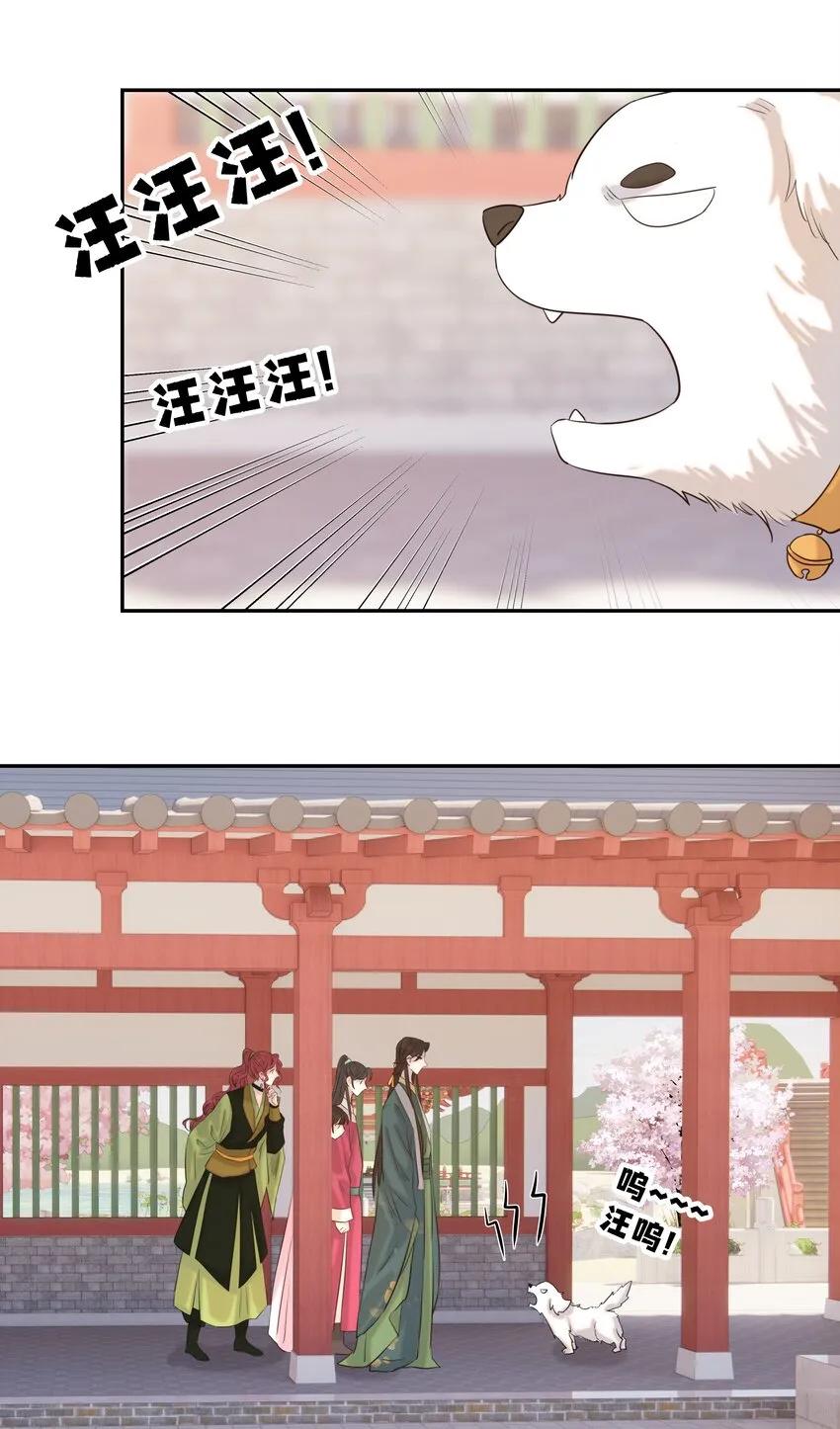 024 不能回头了 第34页