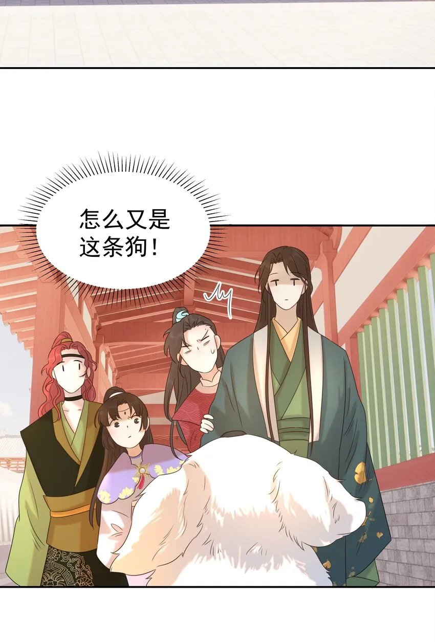 024 不能回头了 第35页