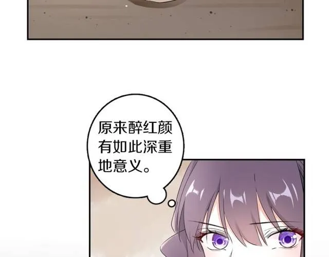 第21话 醉红颜的由来 第30页