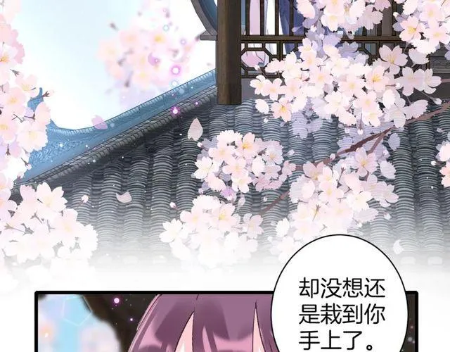 第二季完结篇 提亲前夕 第71页