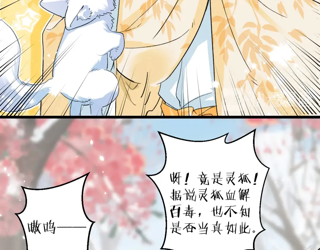 第四季第7话 小灵狐现身 第13页