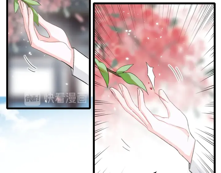第16话 东宫毒凤凰木 第40页