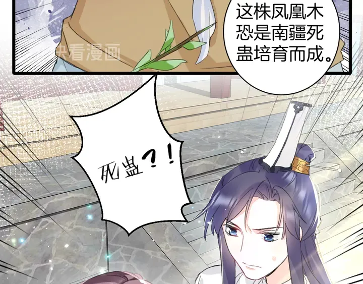第16话 东宫毒凤凰木 第50页