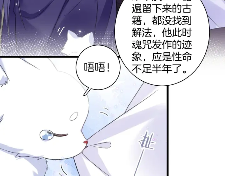 完结篇 与你共看南楚盛世 第33页