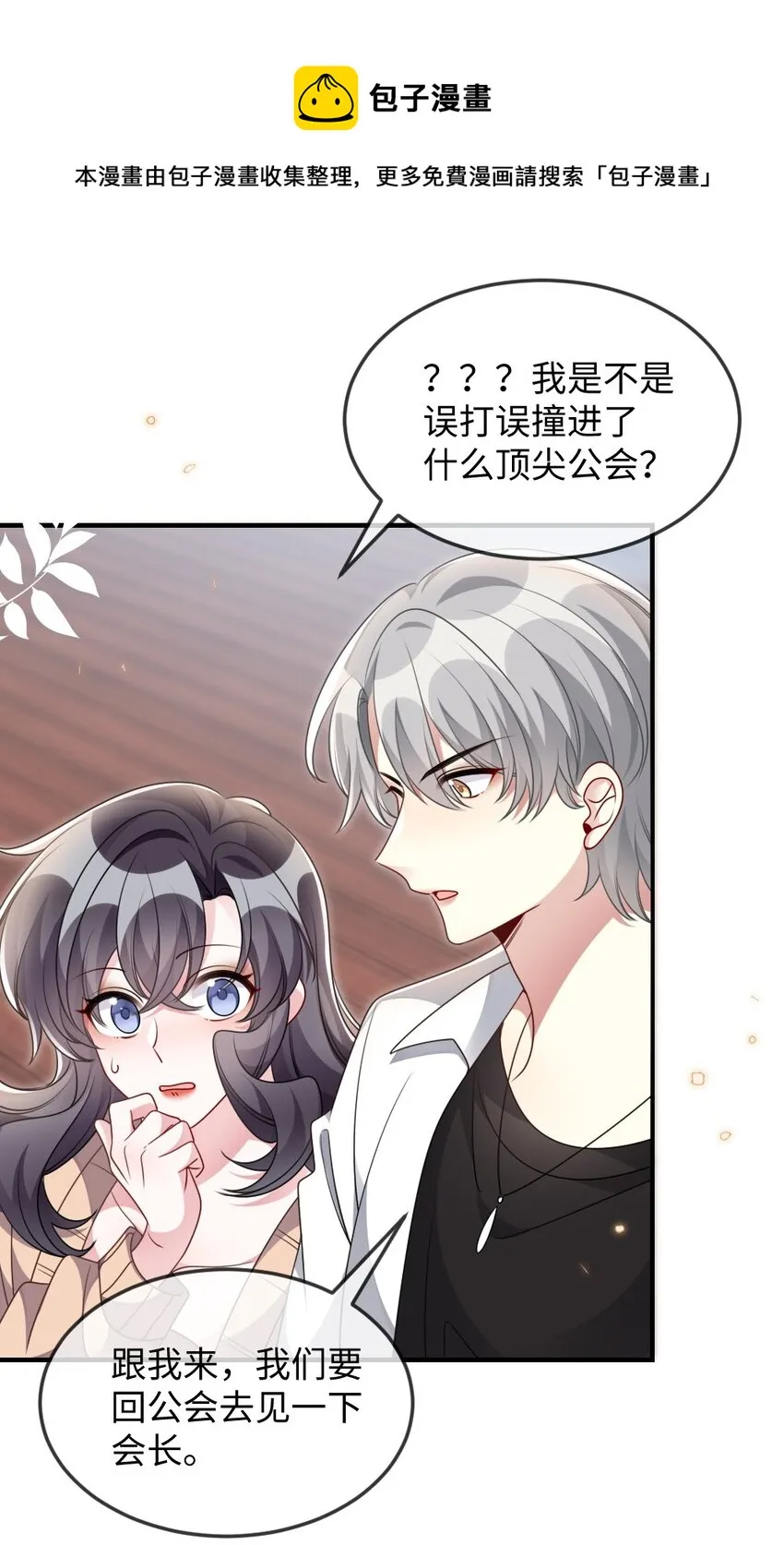 039 妍仪阁会长 第17页