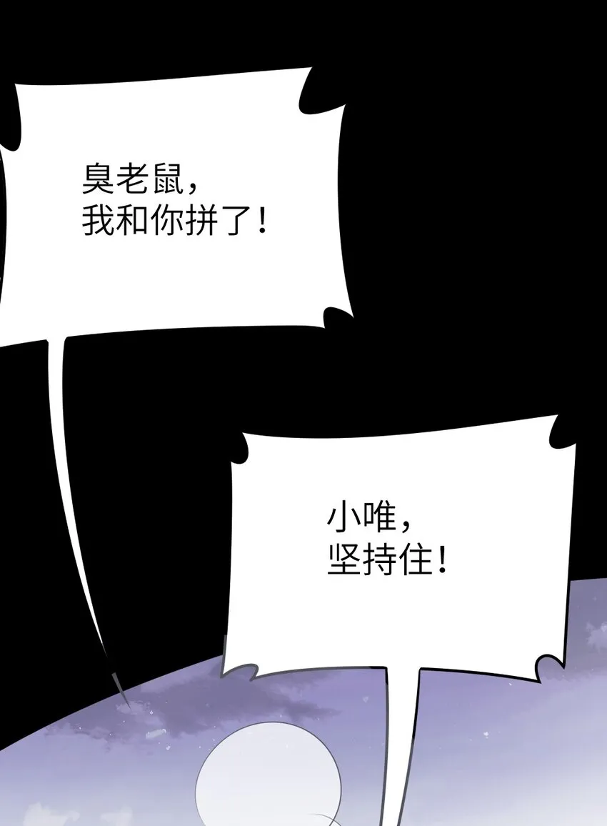 020 下单 第41页