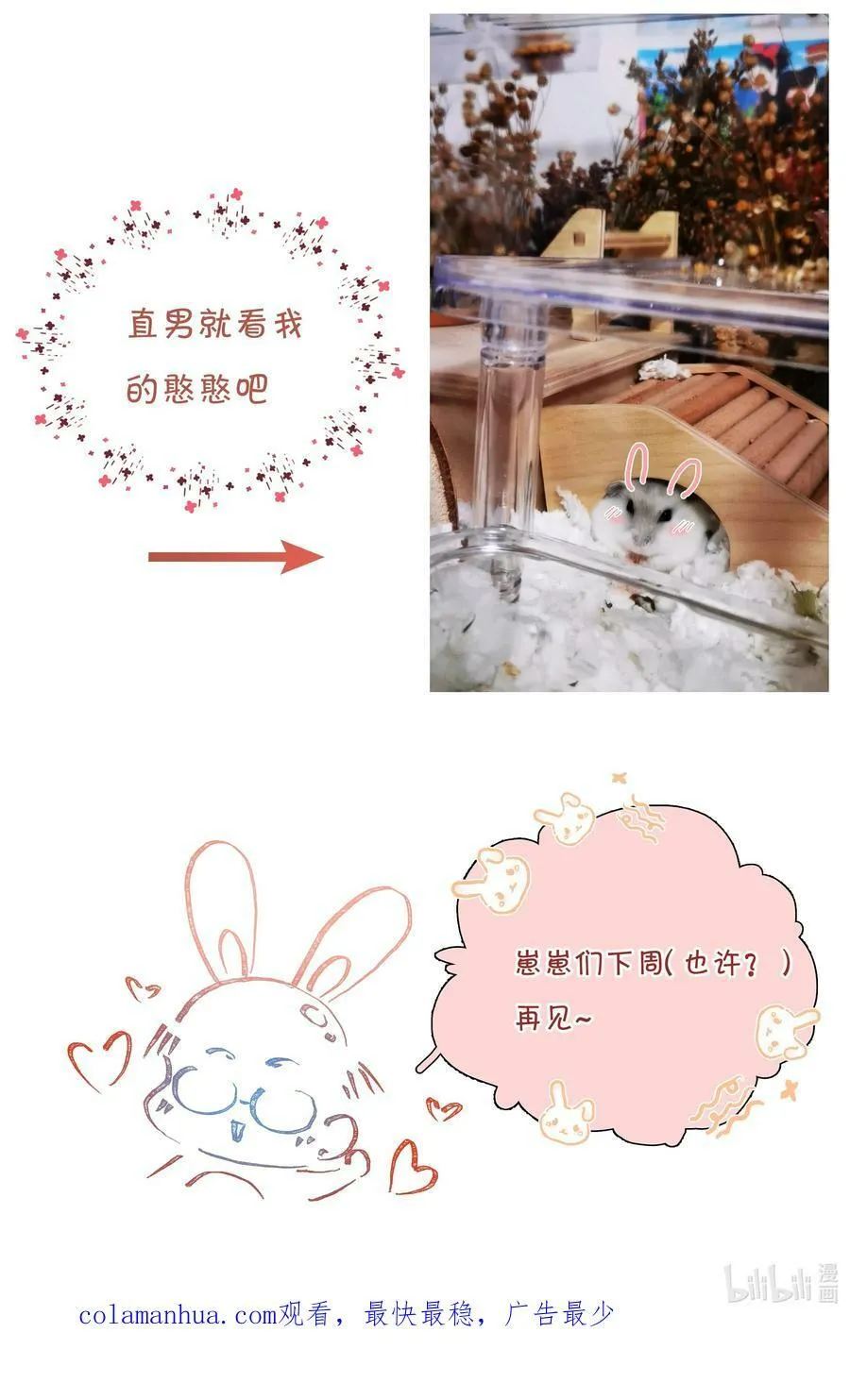056 教练，我想打篮球 第54页