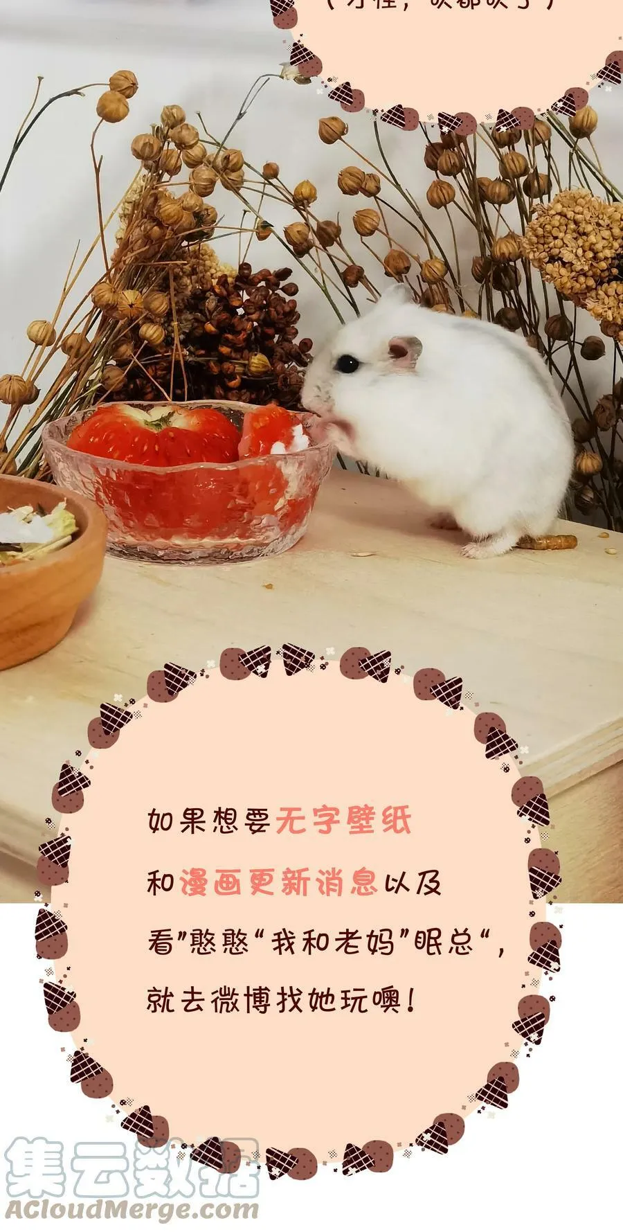 055 三人一条心 第61页