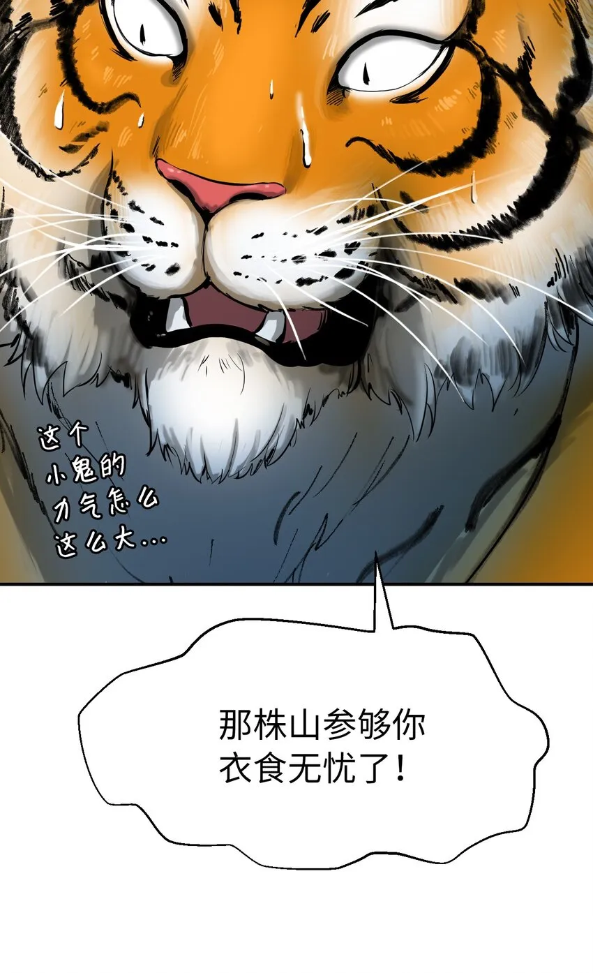 03 名贵山参 第18页