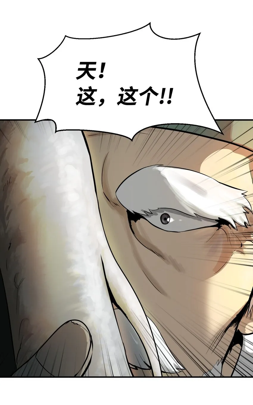 03 名贵山参 第40页